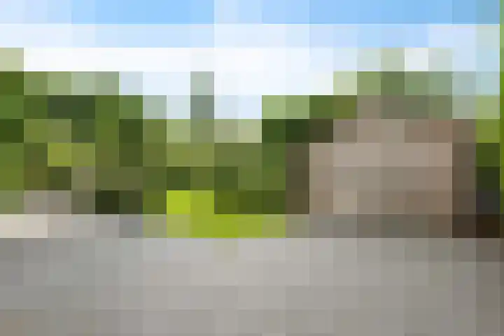 ter Borchlaan 6 Eelderwolde thumbnail 50