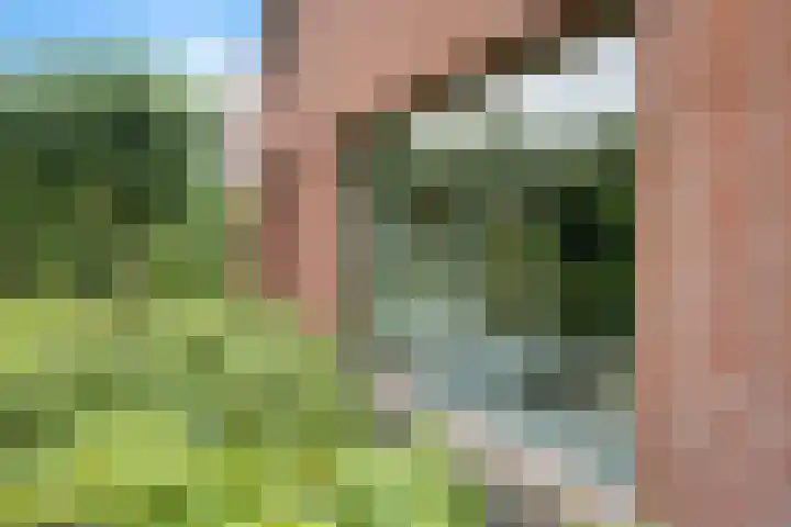 ter Borchlaan 6 Eelderwolde thumbnail 6