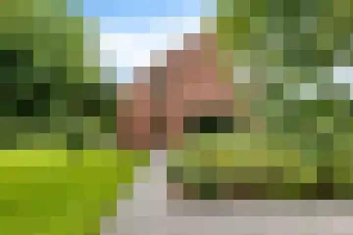 ter Borchlaan 6 Eelderwolde thumbnail 7