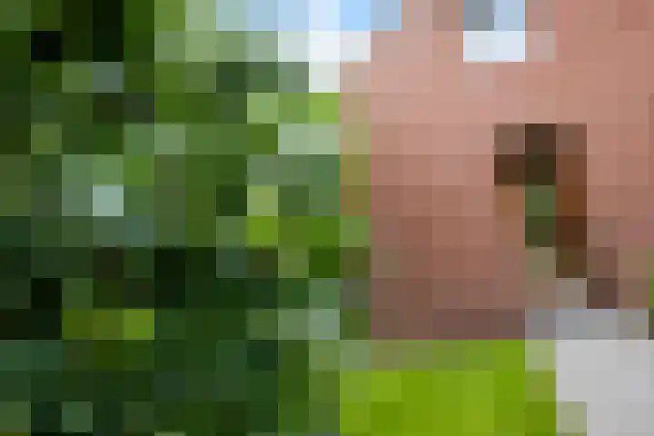ter Borchlaan 6 Eelderwolde thumbnail 8