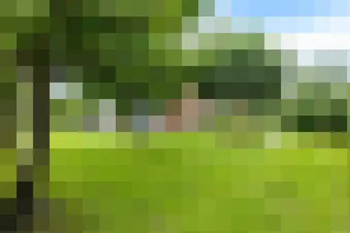 ter Borchlaan 6 Eelderwolde thumbnail 9