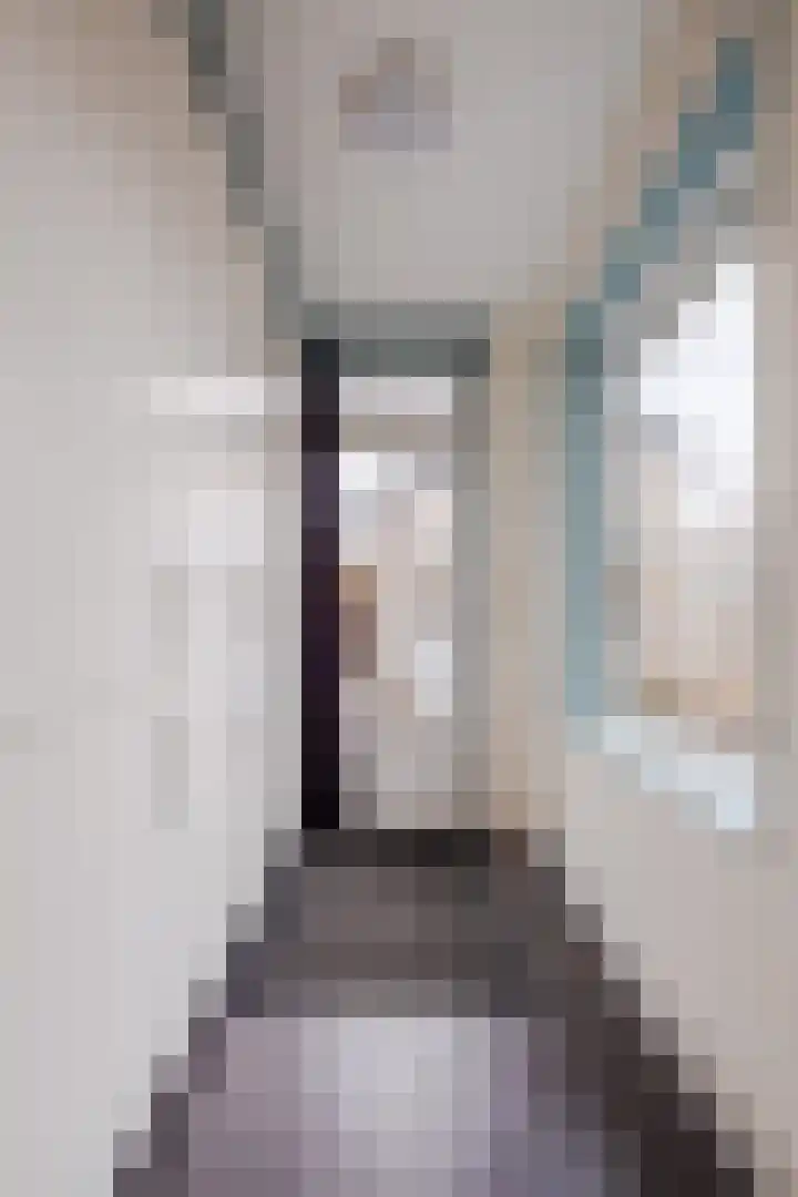 ter Borghstraat 105 Geldrop thumbnail 14