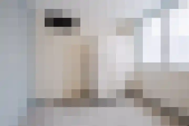 ter Borghstraat 105 Geldrop thumbnail 22