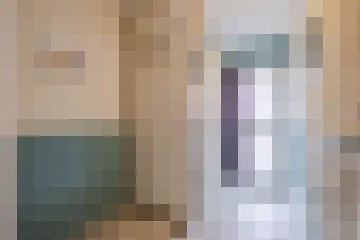 ter Borghstraat 105 Geldrop thumbnail 4