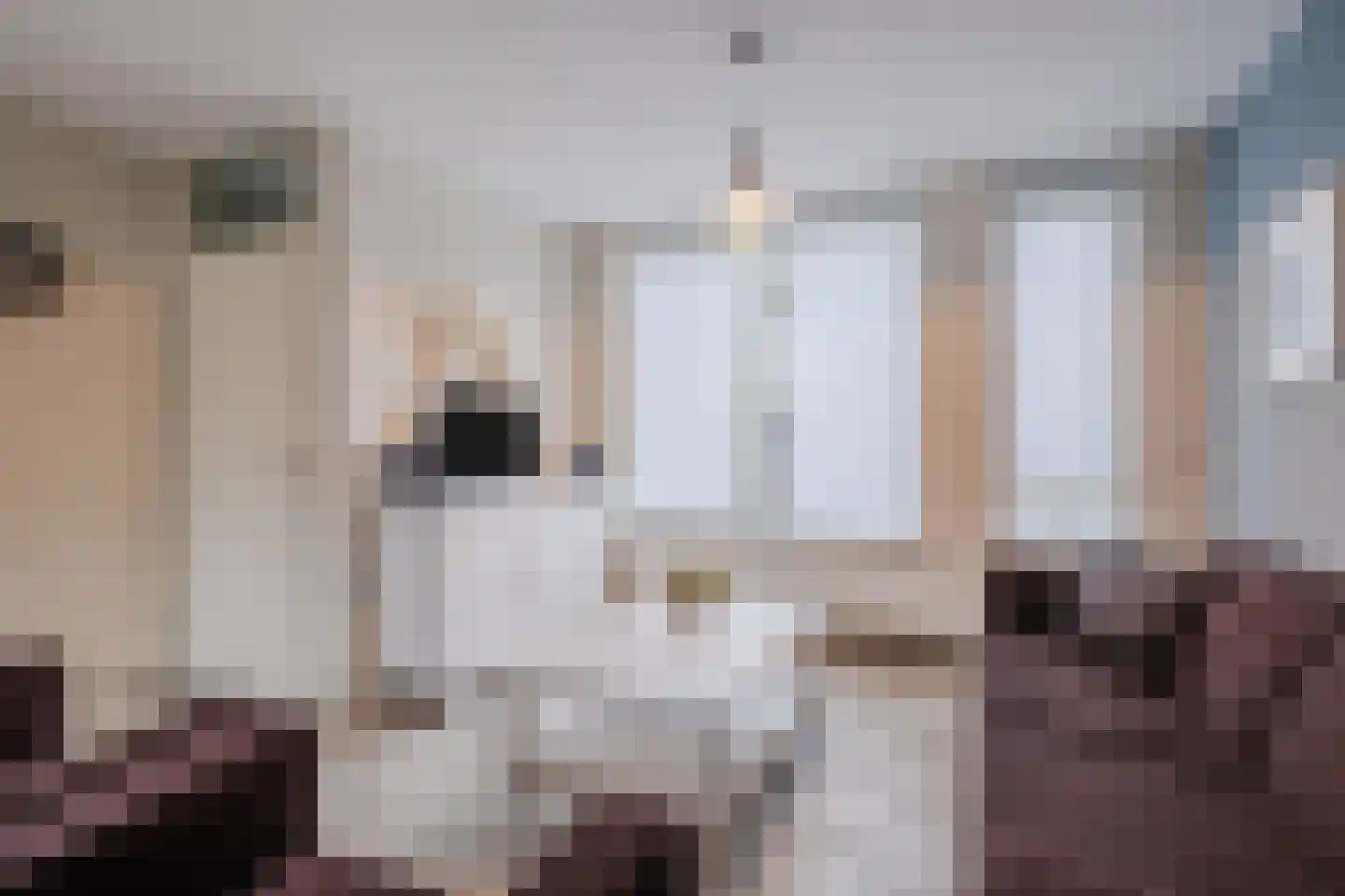 ter Borghstraat 105 Geldrop thumbnail 5