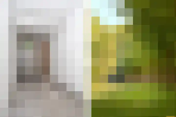 ter Borghstraat 105 Geldrop thumbnail 9