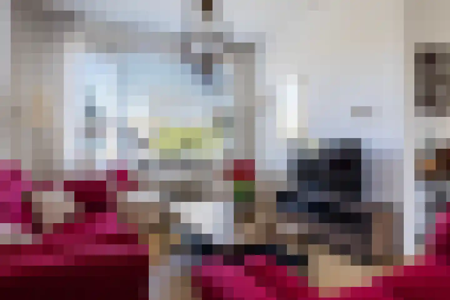 Ter Borghstraat 13 Sleen thumbnail 11