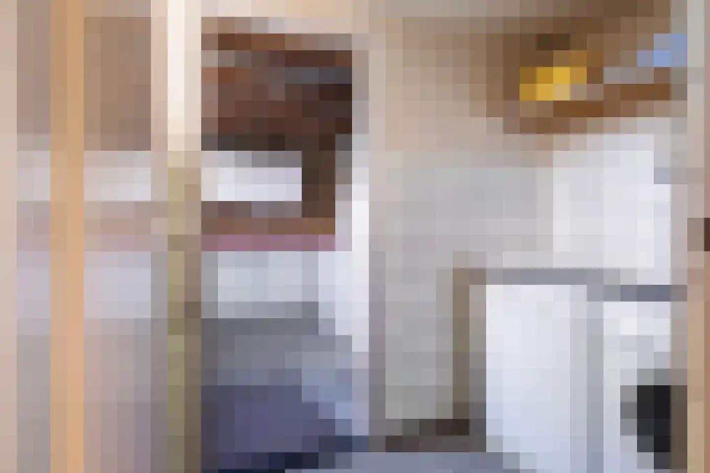 Ter Borghstraat 13 Sleen thumbnail 19