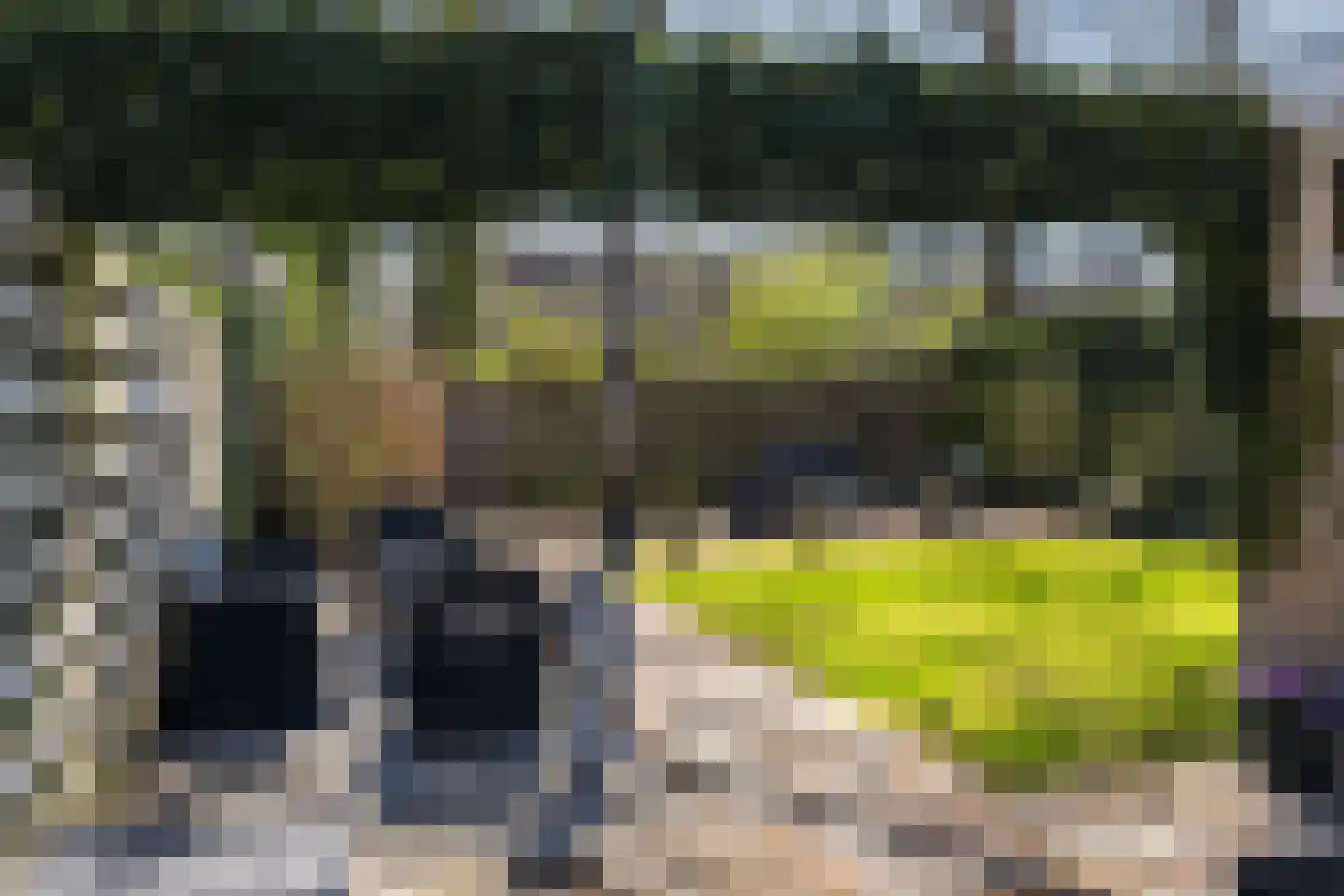 Ter Borghstraat 13 Sleen thumbnail 35