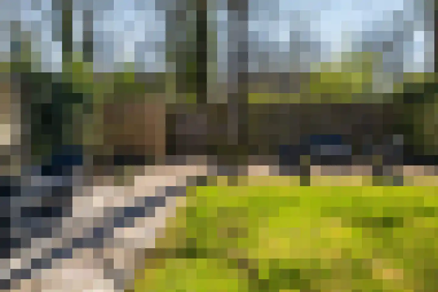 Ter Borghstraat 13 Sleen thumbnail 36