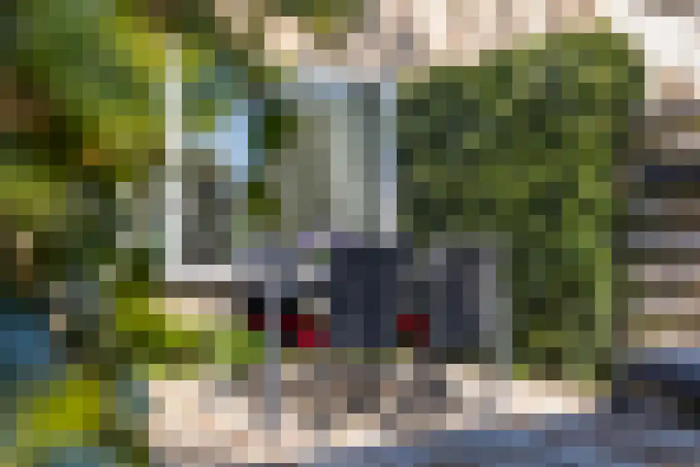 Ter Borghstraat 13 Sleen thumbnail 40