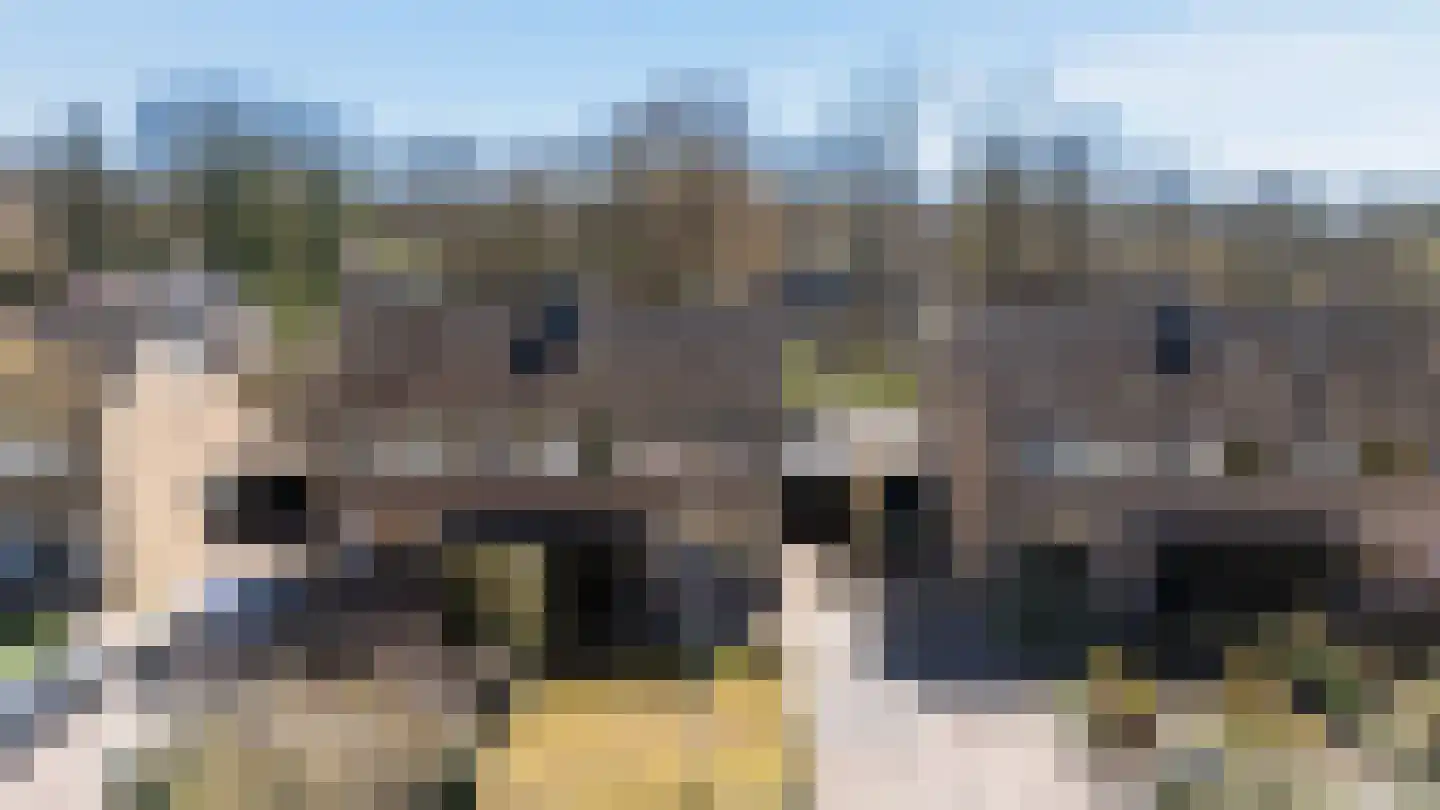 Ter Borghstraat 13 Sleen thumbnail 43