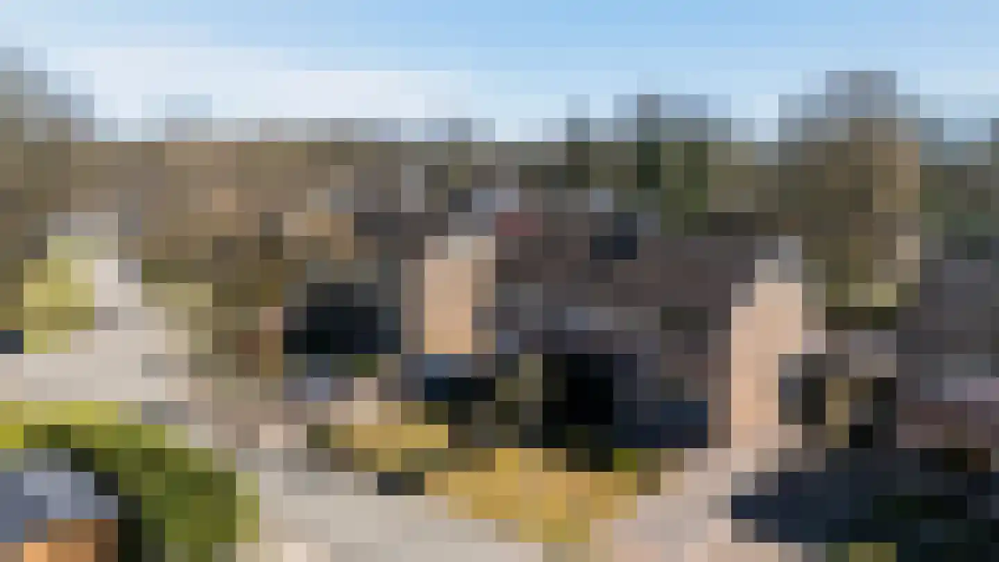 Ter Borghstraat 13 Sleen thumbnail 5