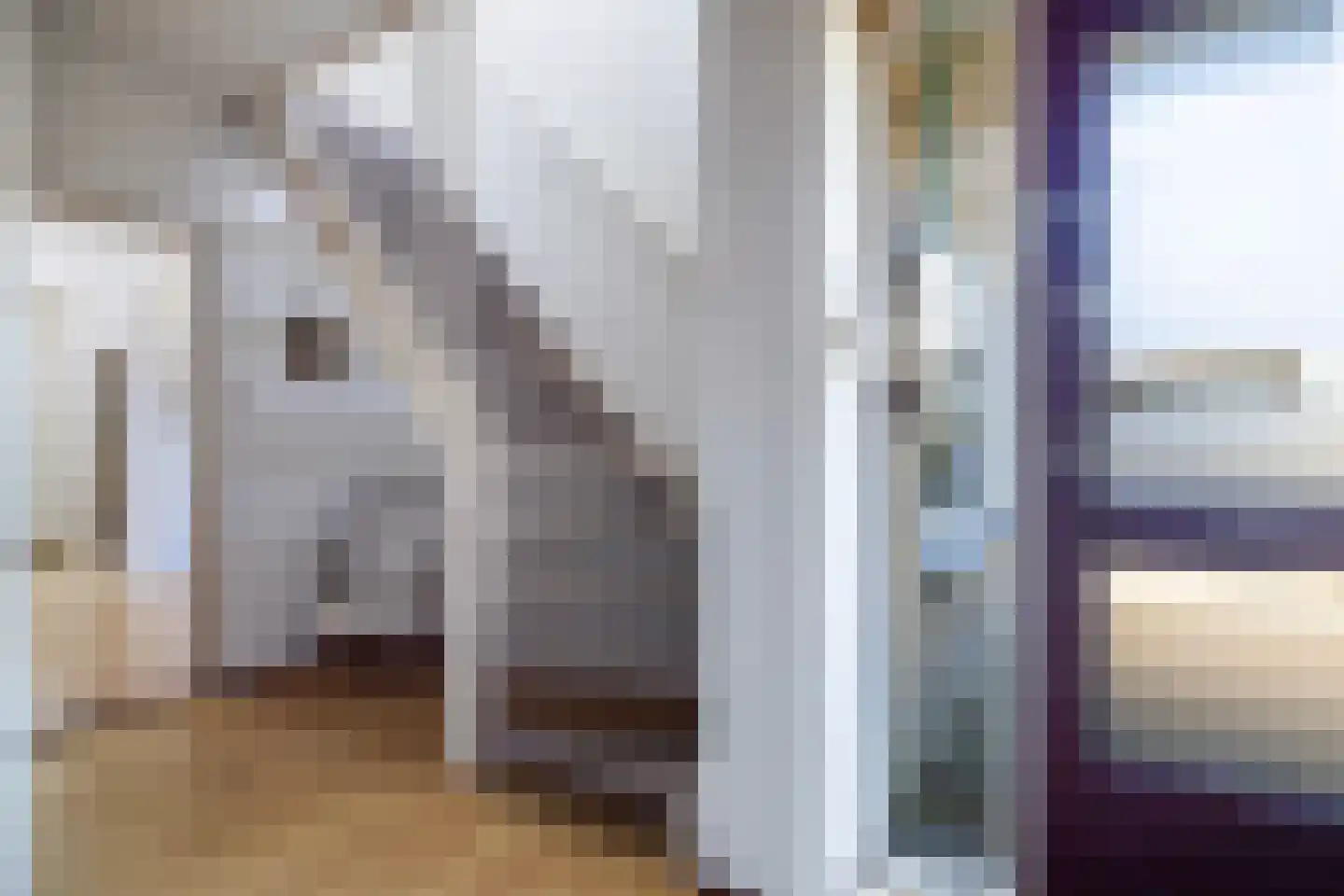 Ter Borghstraat 13 Sleen thumbnail 8