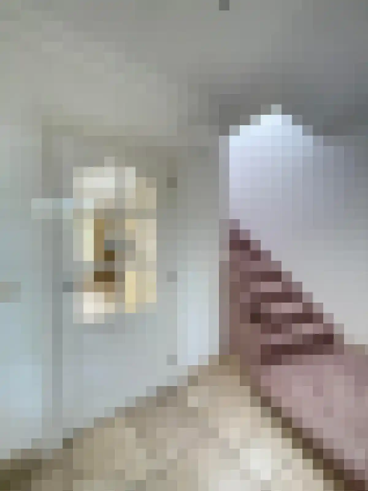 ter Borghstraat 144 Geldrop thumbnail 4