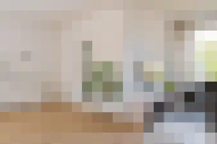 Ter Borghstraat 15 Sleen thumbnail 16