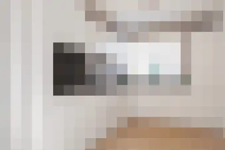 Ter Borghstraat 15 Sleen thumbnail 21