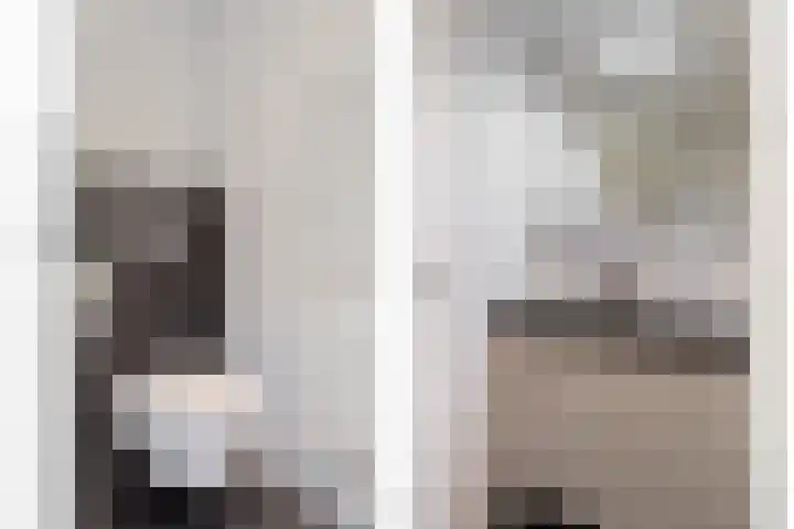 Ter Borghstraat 15 Sleen thumbnail 41