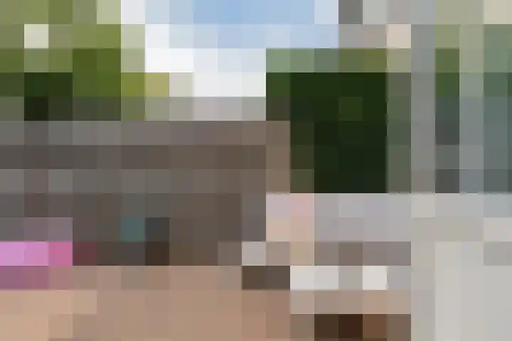 Ter Borghstraat 15 Sleen thumbnail 49