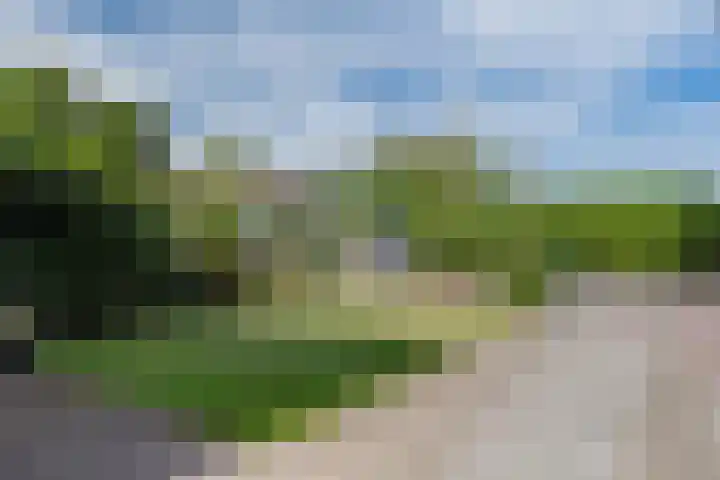 Ter Borghstraat 15 Sleen thumbnail 5