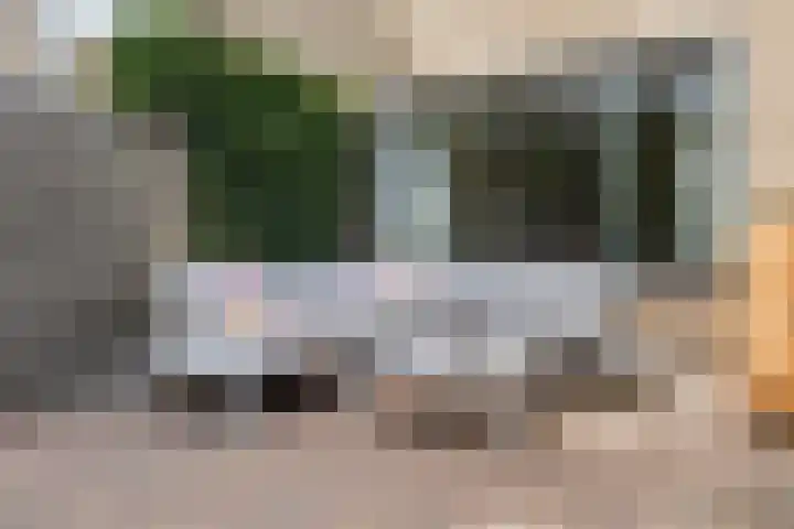 Ter Borghstraat 15 Sleen thumbnail 50