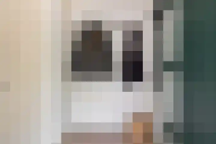 Ter Borghstraat 15 Sleen thumbnail 7