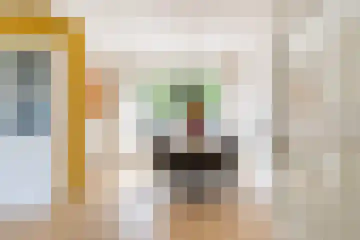 Ter Borghstraat 15 Sleen thumbnail 9