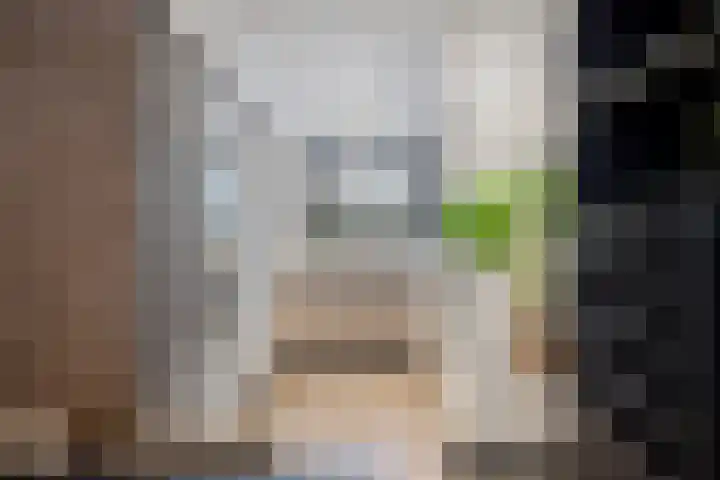 ter Borghstraat 19 Geldrop thumbnail 11