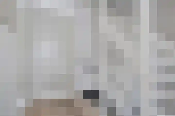 ter Borghstraat 19 Geldrop thumbnail 14