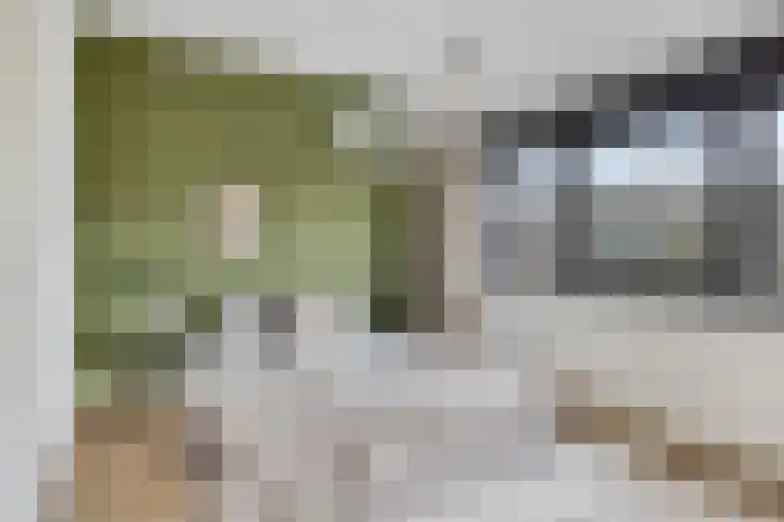 ter Borghstraat 19 Geldrop thumbnail 15