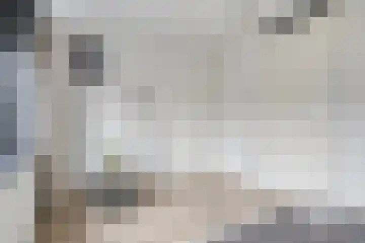 ter Borghstraat 19 Geldrop thumbnail 16