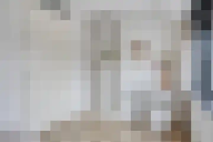 ter Borghstraat 19 Geldrop thumbnail 18