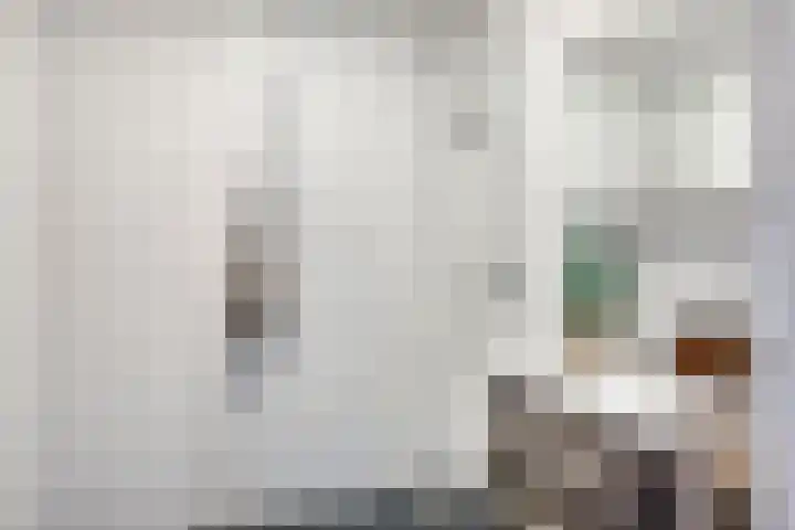 ter Borghstraat 19 Geldrop thumbnail 19
