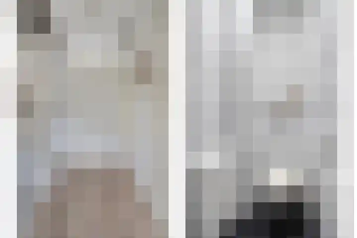 ter Borghstraat 19 Geldrop thumbnail 21