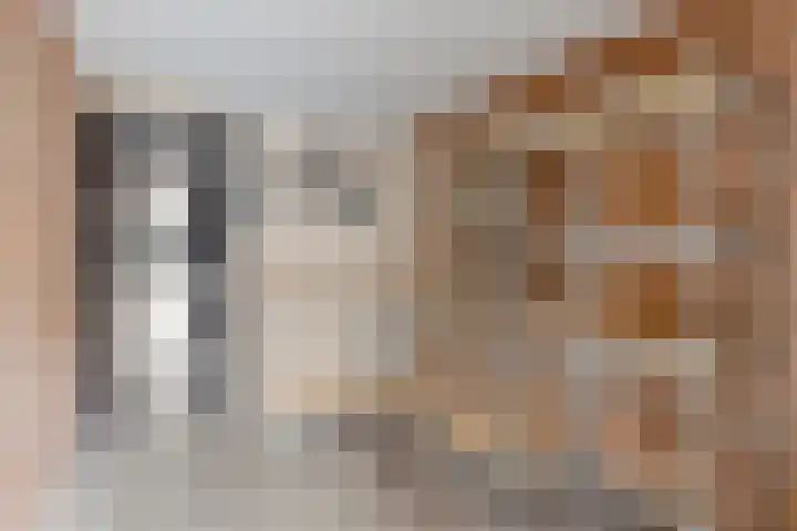 ter Borghstraat 19 Geldrop thumbnail 28