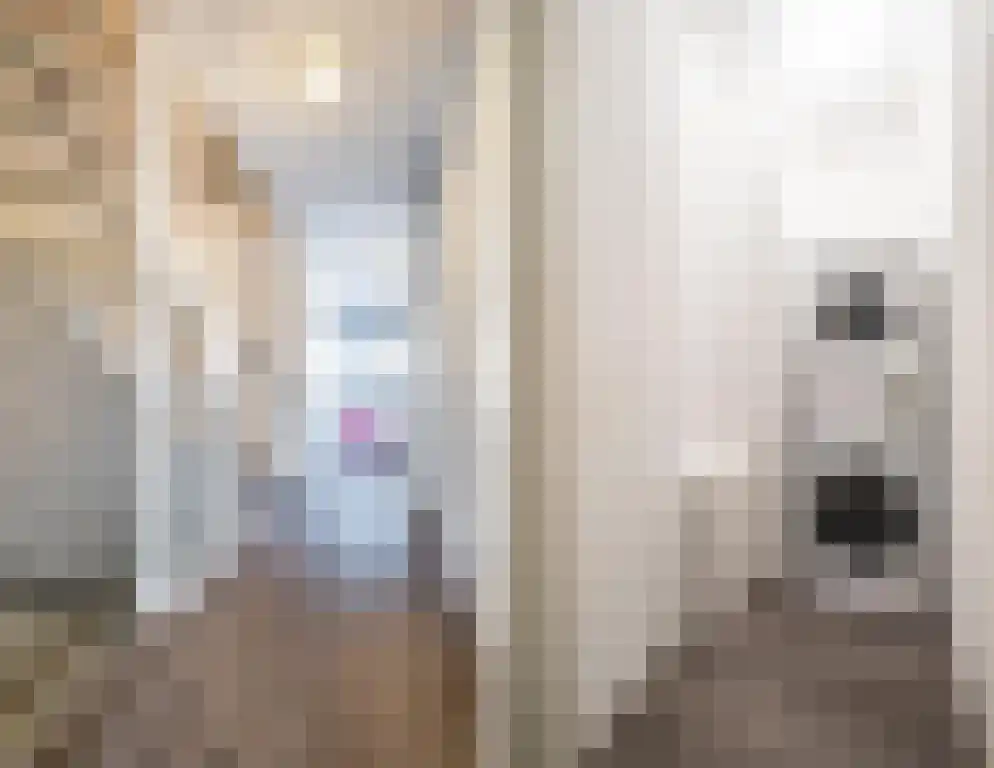 ter Borghstraat 21 Geldrop thumbnail 11