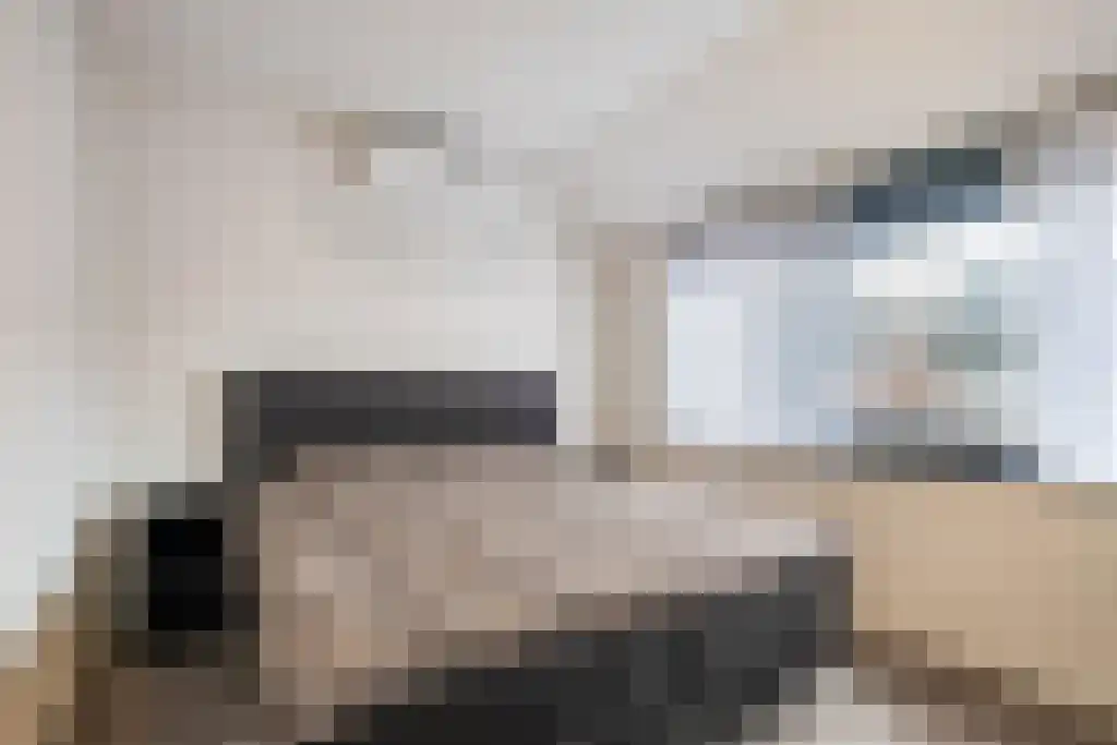 ter Borghstraat 21 Geldrop thumbnail 13