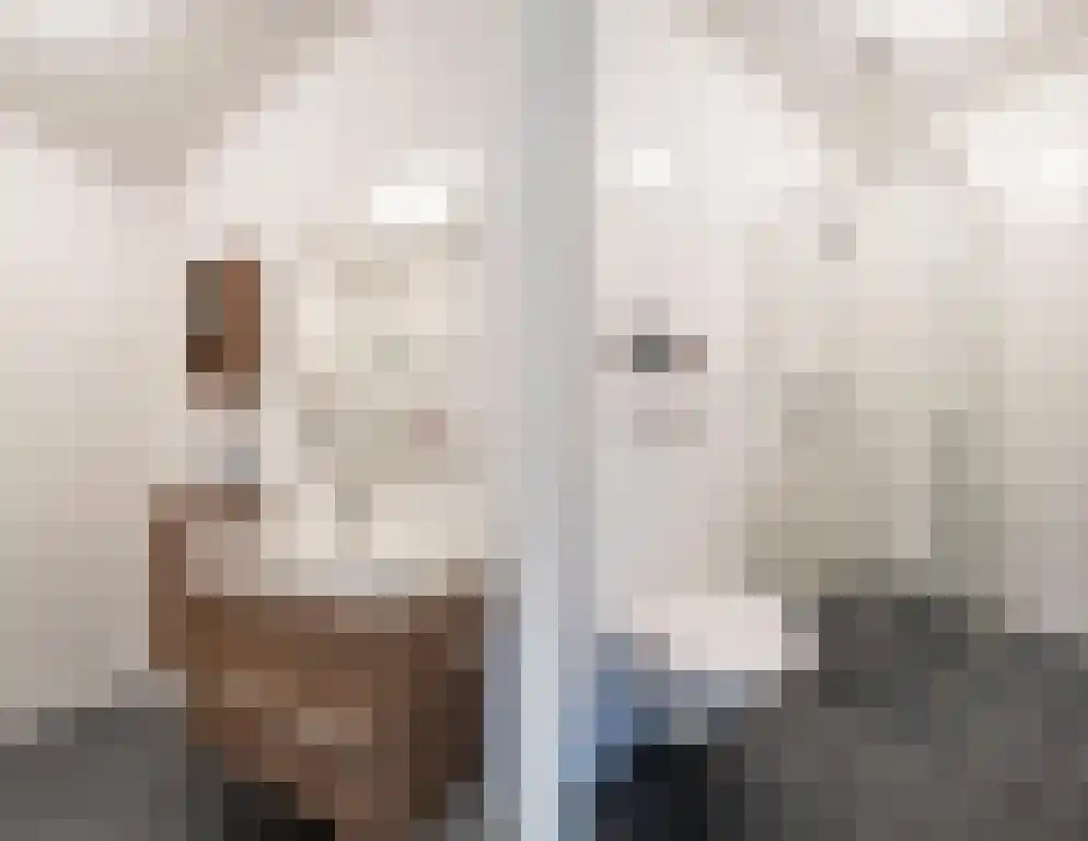 ter Borghstraat 21 Geldrop thumbnail 16
