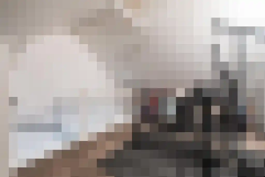 ter Borghstraat 21 Geldrop thumbnail 17