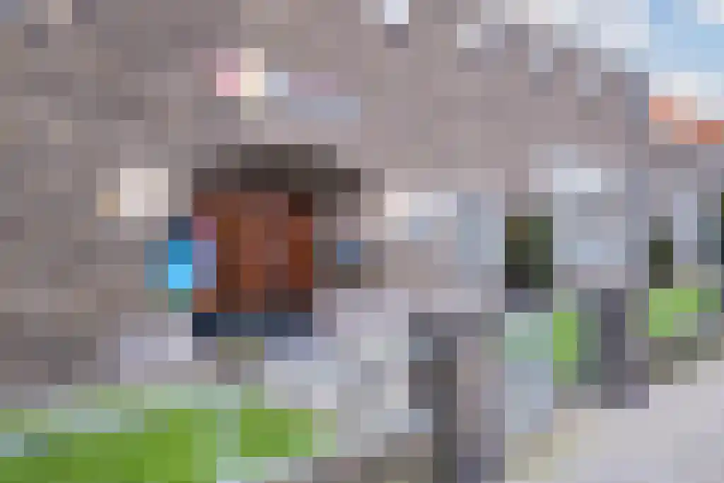 ter Borghstraat 21 Geldrop thumbnail 20