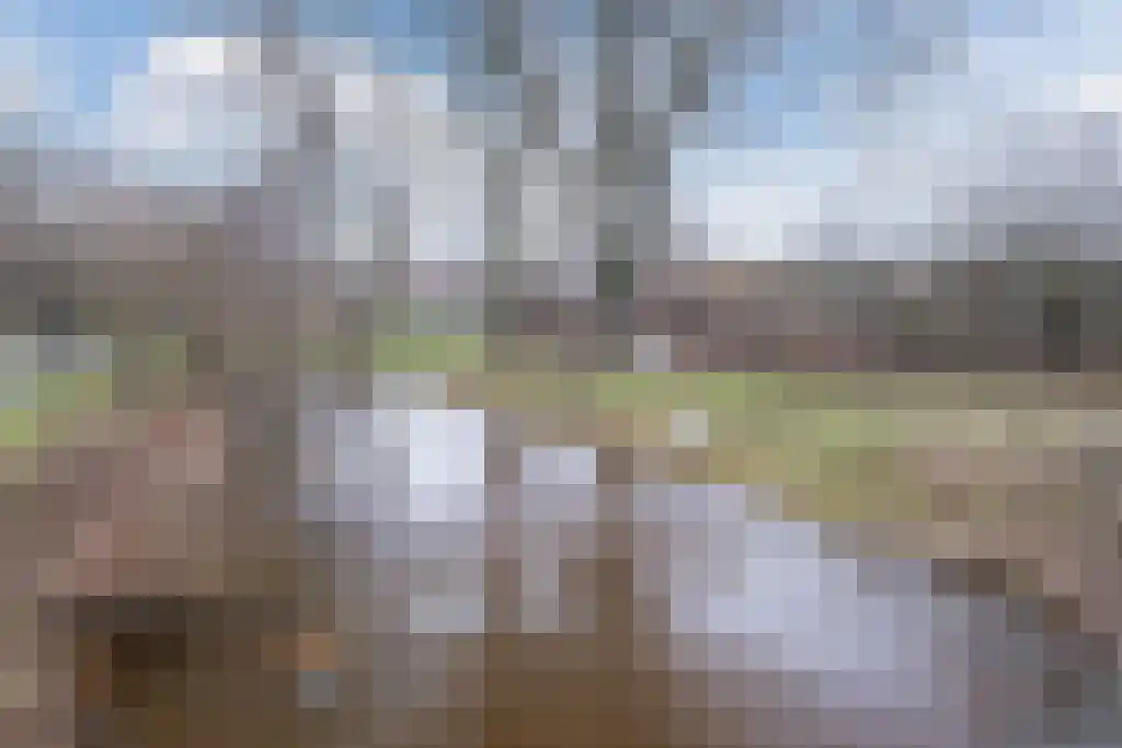 ter Borghstraat 21 Geldrop thumbnail 21