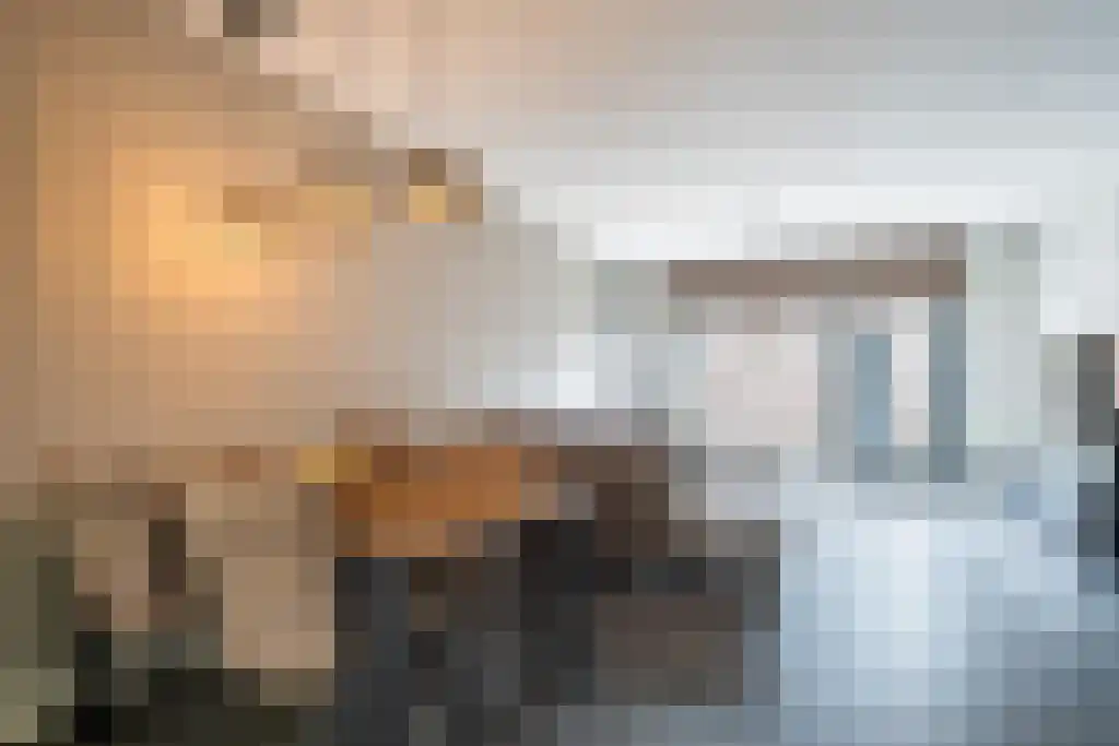 ter Borghstraat 21 Geldrop thumbnail 7