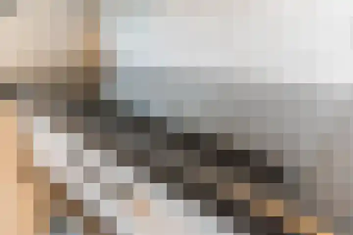 ter Borghstraat 23 Geldrop thumbnail 14