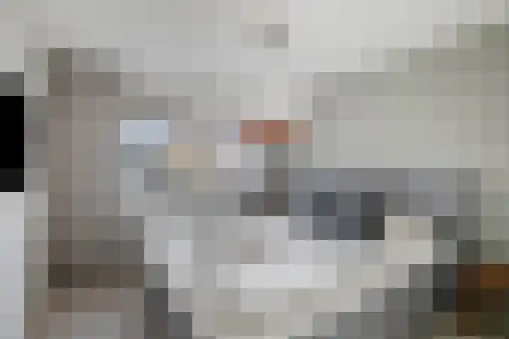 ter Borghstraat 23 Geldrop thumbnail 15