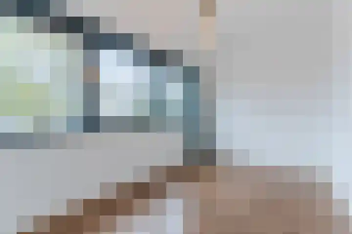 ter Borghstraat 23 Geldrop thumbnail 22