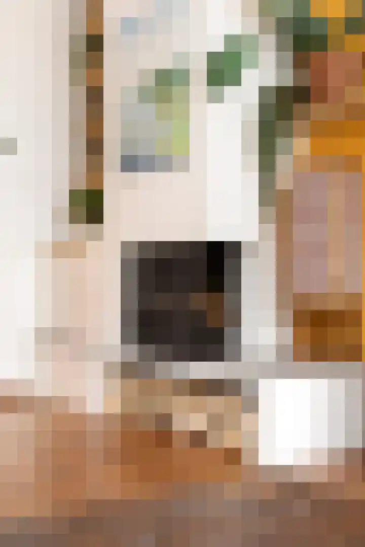 ter Borghstraat 23 Geldrop thumbnail 23