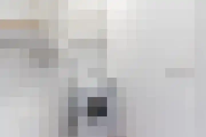 ter Borghstraat 23 Geldrop thumbnail 23