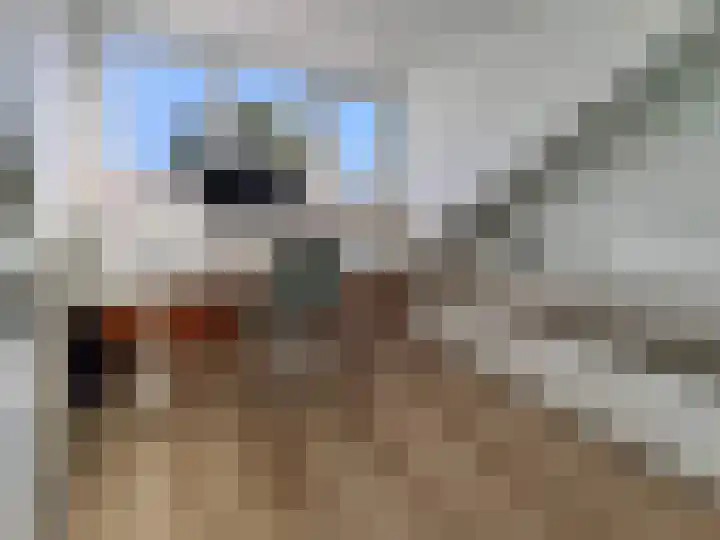 ter Borghstraat 23 Geldrop thumbnail 32