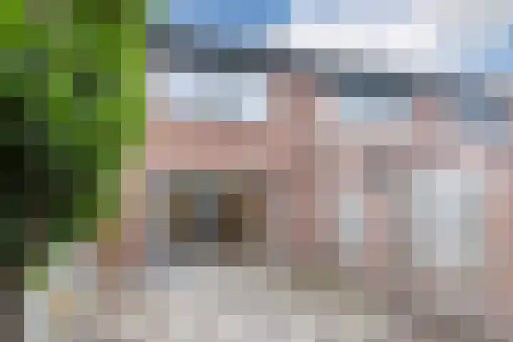 ter Borghstraat 23 Geldrop thumbnail 35