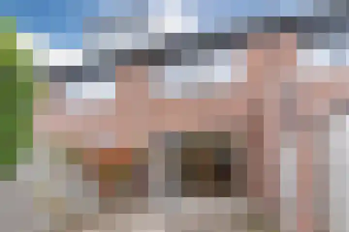 ter Borghstraat 23 Geldrop thumbnail 36